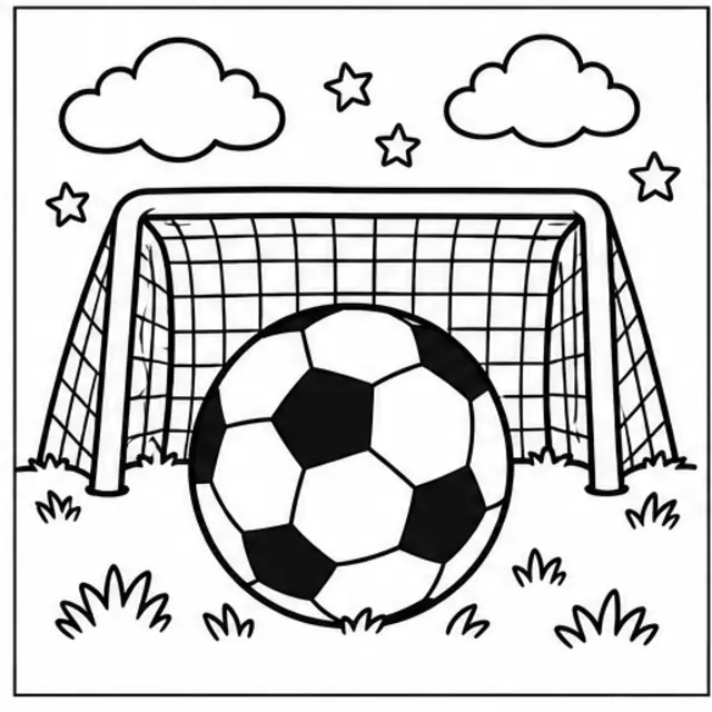 Fodbold & sport